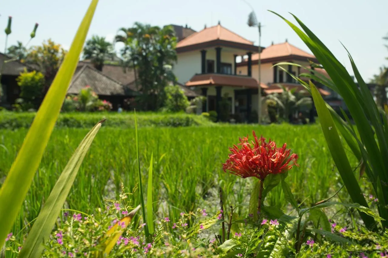 *** Pensión Puji Hostel And Bungalow Ubud Indonesia